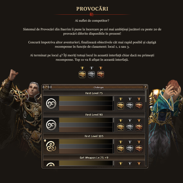 Provocari